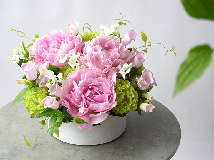 芍薬とカンパニュラのアレンジメント
