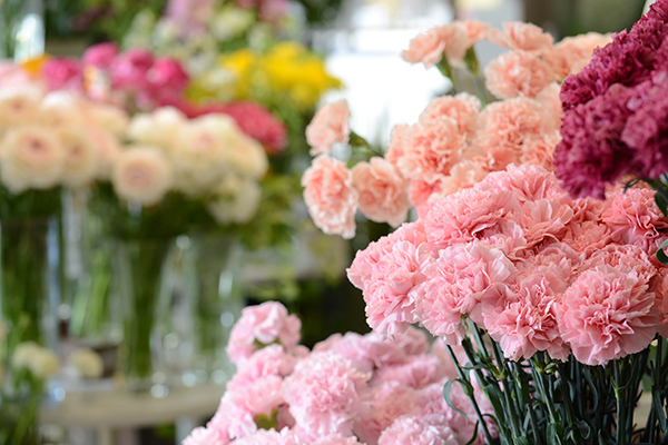 青山花茂本店のカーネーション