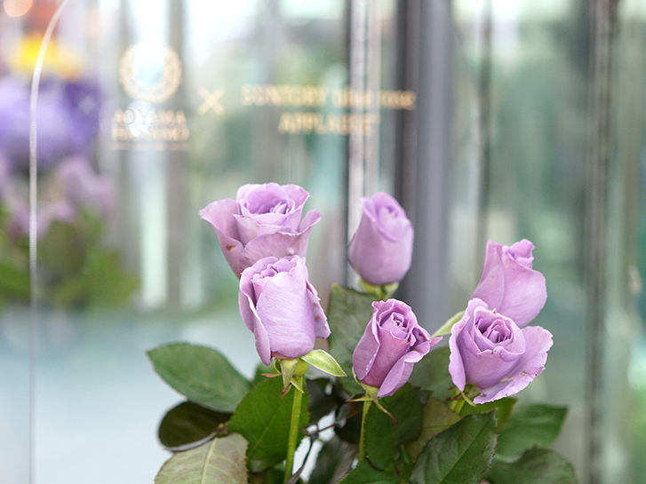青山花茂店頭のブルーローズ