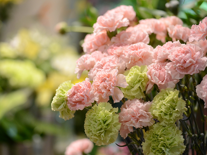 切り花を長持ちさせるには 老舗生花店がお答えします 青山花茂blog