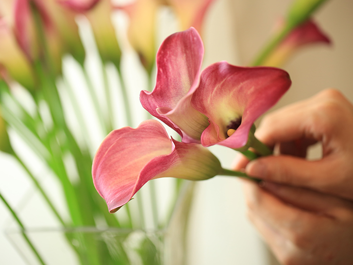 切り花を長持ちさせるには 老舗生花店がお答えします 青山花茂blog