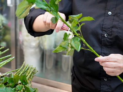 切り花を長持ちさせるには 老舗生花店がお答えします 青山花茂blog