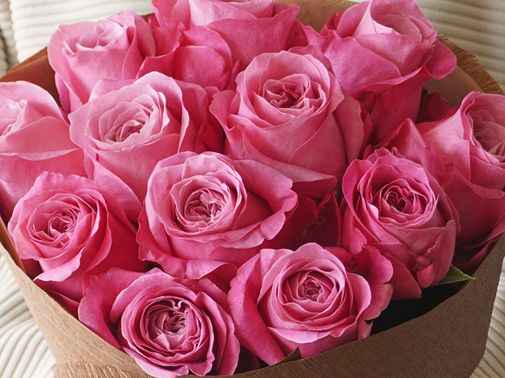 ピンクのバラの花弁