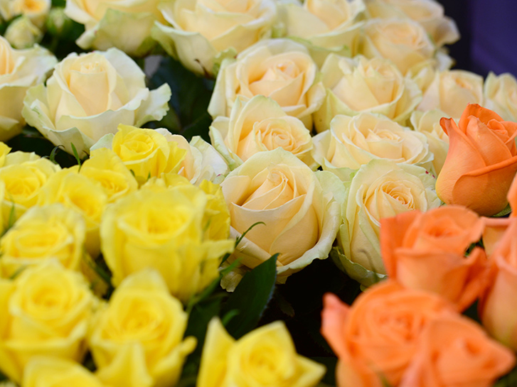 フラワーキーパー内に陳列されたバラ