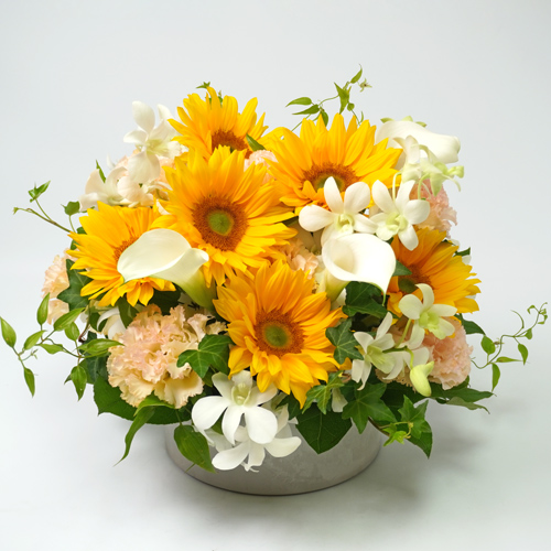 お見舞い、退院祝い、快気祝い 花を贈るときのタブーとマナー | 青山花