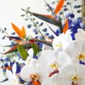 胡蝶蘭を使用したスタンド花の拡大画像