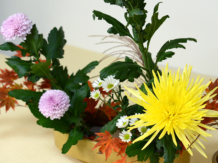 菊の花 マム は日持ち最強の切り花 バラエティ豊かな品種と 菊にまつわる話を紹介します 表で解説 青山花茂blog