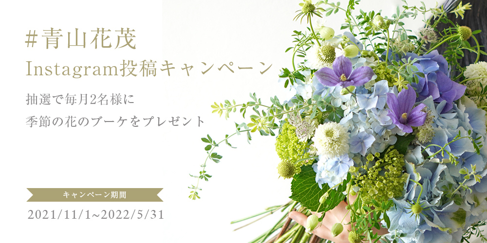 Instagram投稿キャンペーン 季節の花のブーケをプレゼント 青山花茂blog