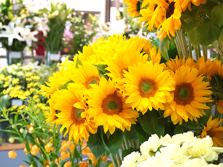 ヒマワリが花屋で花瓶に入ってるところ