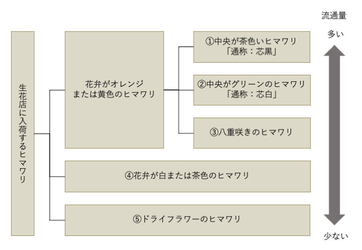 ヒマワリの分類表