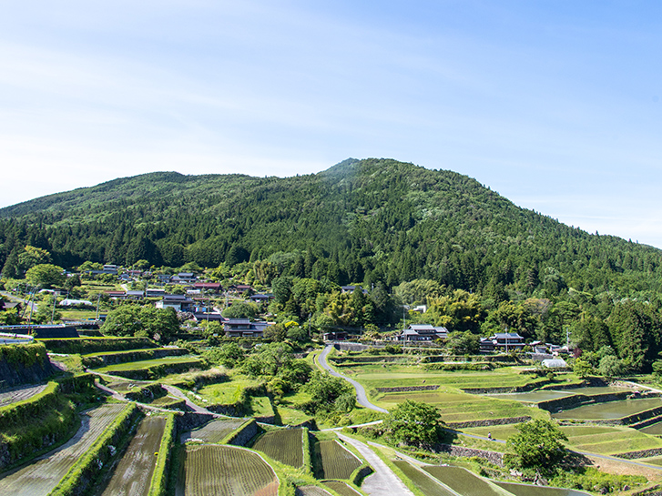 田園風景