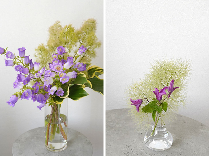 スモークツリーの花瓶花2種類