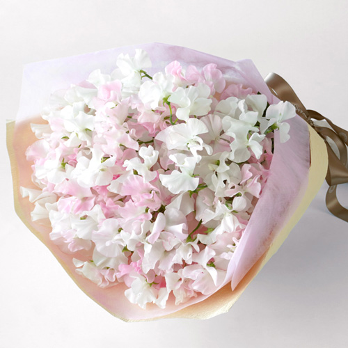 ピンクと白のスイートピーの花束