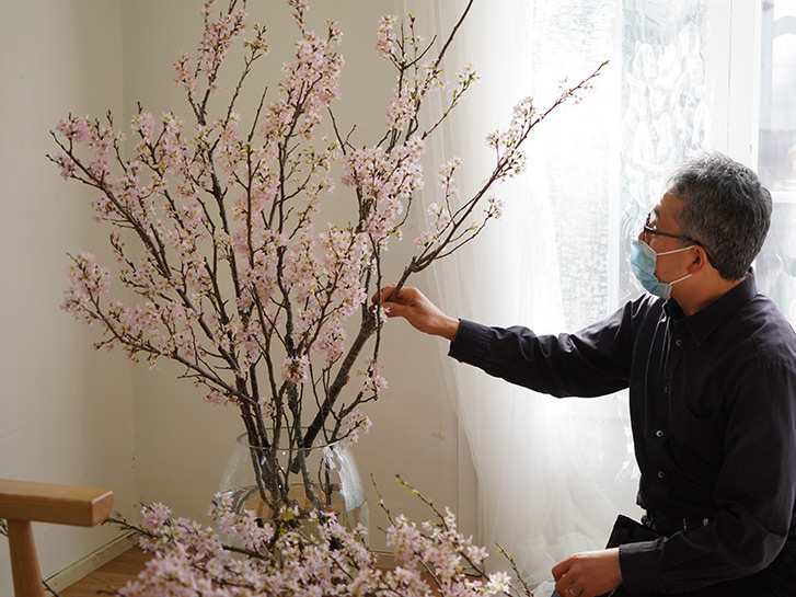 桜の枝を活けるフラワーデザイナー