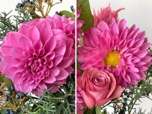 秋冬におすすめしたいダリア。花の咲く季節、種類、長持ちする活け方のコツをご紹介 | 青山花茂BLOG