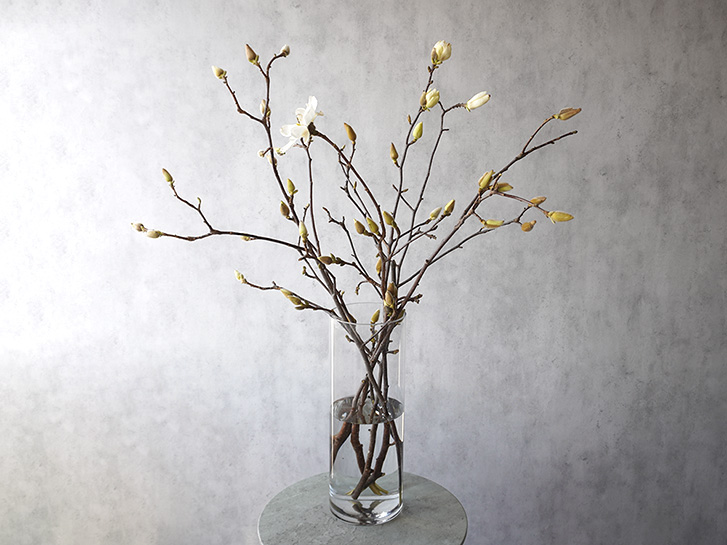 木蓮の枝ものの花瓶活け
