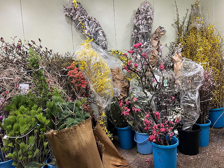 青山花茂いけばな事業部の枝もの冷蔵庫