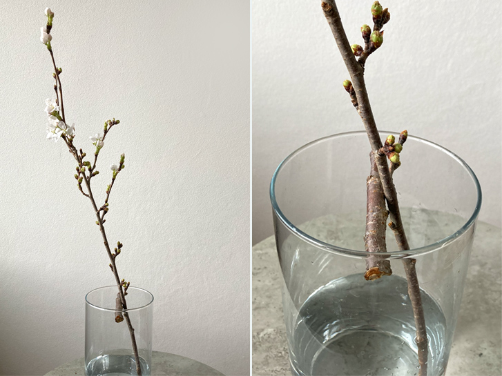 いけばなにおける技法「くばり(花配り)」