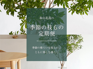 馬酔木の花瓶活け