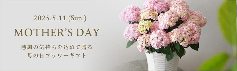 母の日の花